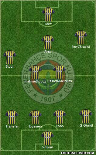 Fenerbahçe SK Formation 2012