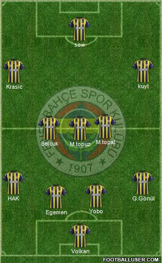 Fenerbahçe SK Formation 2012