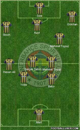 Fenerbahçe SK Formation 2012