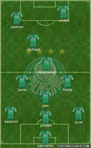 SE Palmeiras Formation 2012