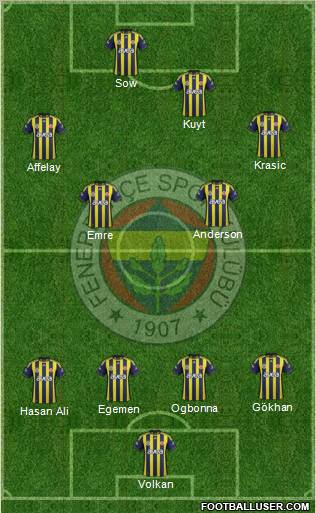 Fenerbahçe SK Formation 2012