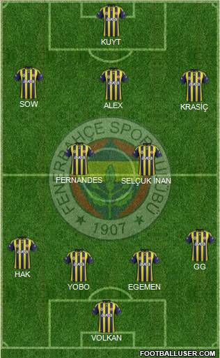 Fenerbahçe SK Formation 2012
