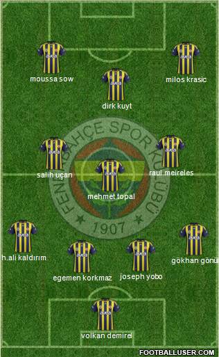 Fenerbahçe SK Formation 2012