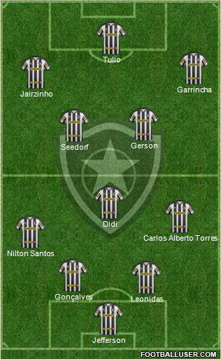 Botafogo FR Formation 2012
