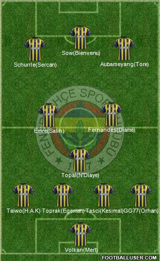 Fenerbahçe SK Formation 2012