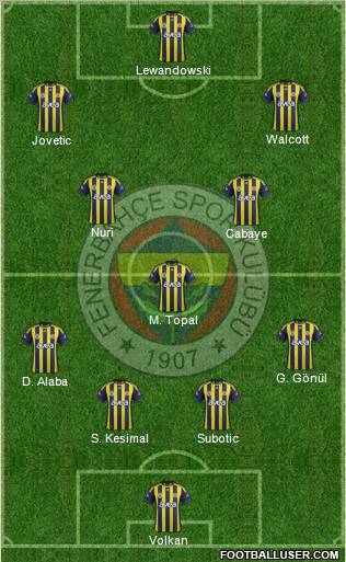 Fenerbahçe SK Formation 2012