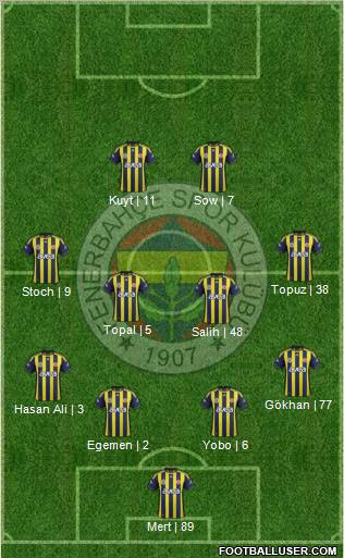 Fenerbahçe SK Formation 2012