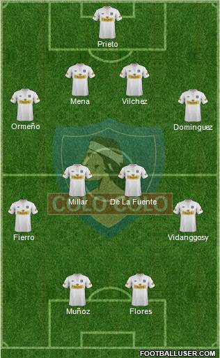 CSD Colo Colo Formation 2012