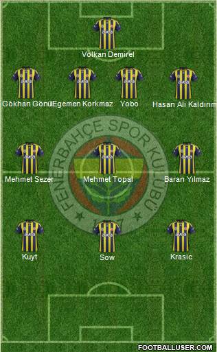 Fenerbahçe SK Formation 2012