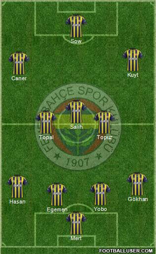 Fenerbahçe SK Formation 2012