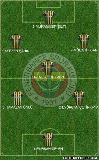 Fenerbahçe SK Formation 2012