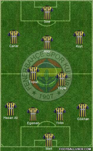 Fenerbahçe SK Formation 2012