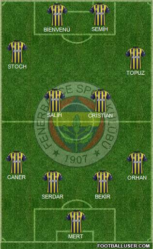 Fenerbahçe SK Formation 2012