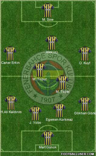 Fenerbahçe SK Formation 2012