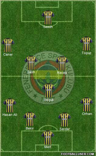 Fenerbahçe SK Formation 2012
