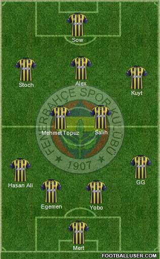 Fenerbahçe SK Formation 2012