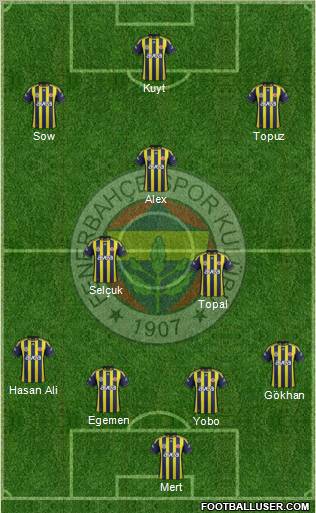 Fenerbahçe SK Formation 2012