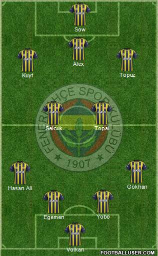 Fenerbahçe SK Formation 2012