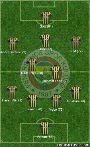 Fenerbahçe SK Formation 2012