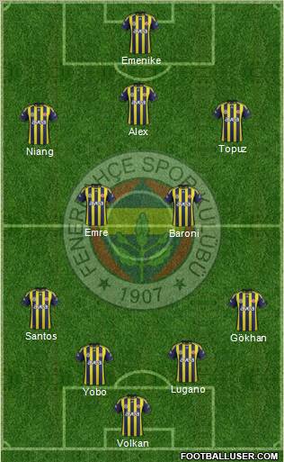 Fenerbahçe SK Formation 2012