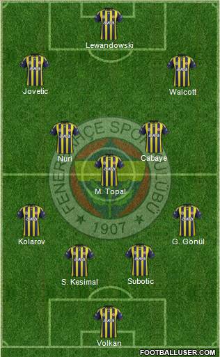 Fenerbahçe SK Formation 2012