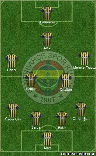 Fenerbahçe SK Formation 2012
