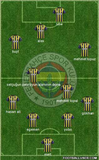 Fenerbahçe SK Formation 2012