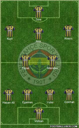 Fenerbahçe SK Formation 2012