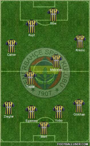 Fenerbahçe SK Formation 2012