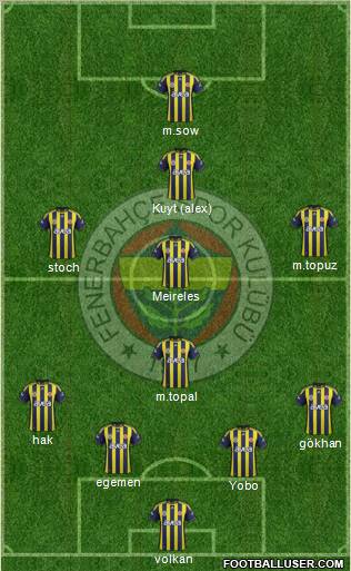 Fenerbahçe SK Formation 2012