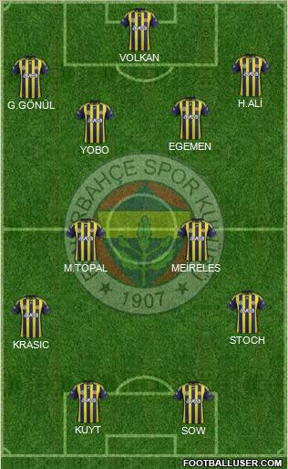 Fenerbahçe SK Formation 2012