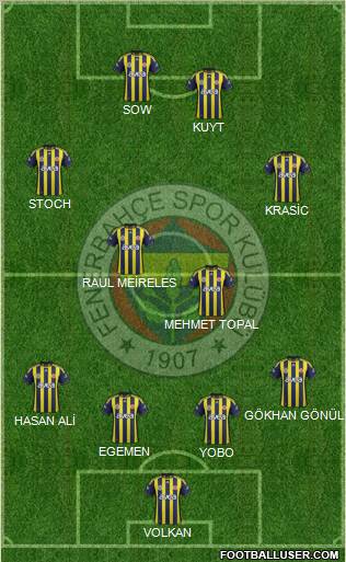 Fenerbahçe SK Formation 2012