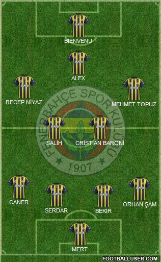 Fenerbahçe SK Formation 2012