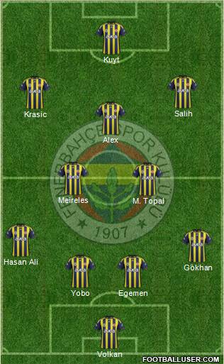 Fenerbahçe SK Formation 2012