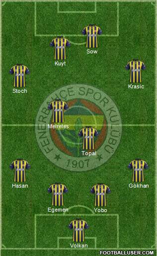 Fenerbahçe SK Formation 2012