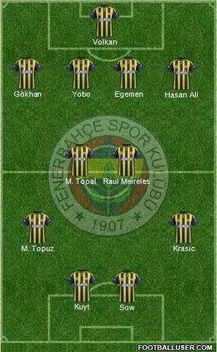 Fenerbahçe SK Formation 2012