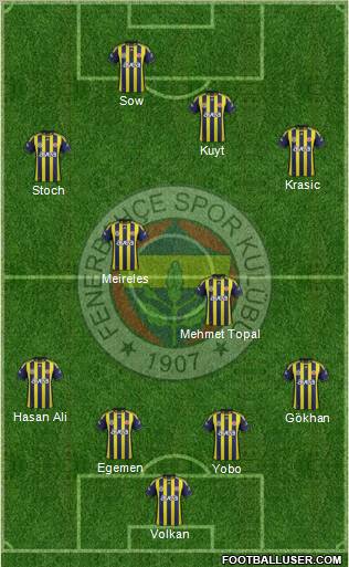 Fenerbahçe SK Formation 2012