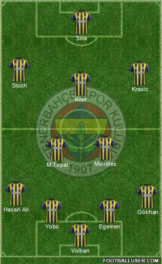 Fenerbahçe SK Formation 2012