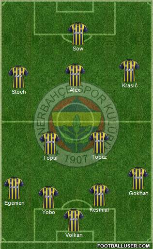 Fenerbahçe SK Formation 2012