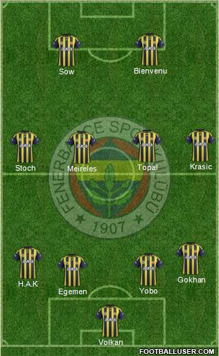 Fenerbahçe SK Formation 2012