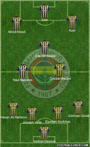 Fenerbahçe SK Formation 2012