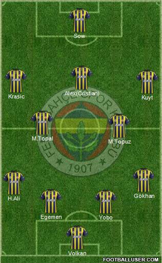 Fenerbahçe SK Formation 2012