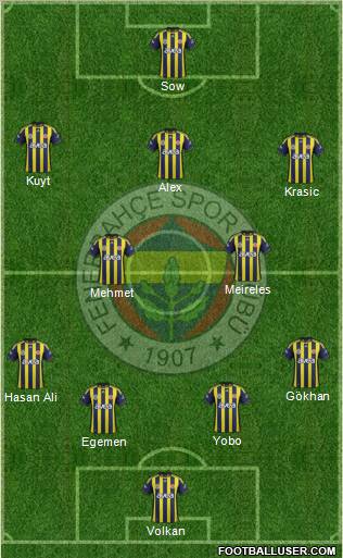 Fenerbahçe SK Formation 2012