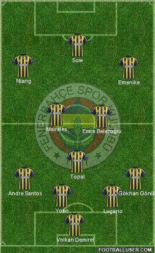 Fenerbahçe SK Formation 2012