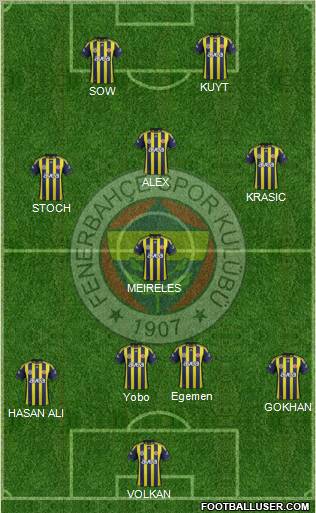 Fenerbahçe SK Formation 2012