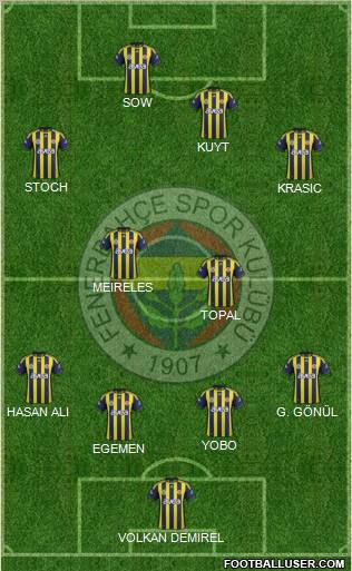 Fenerbahçe SK Formation 2012