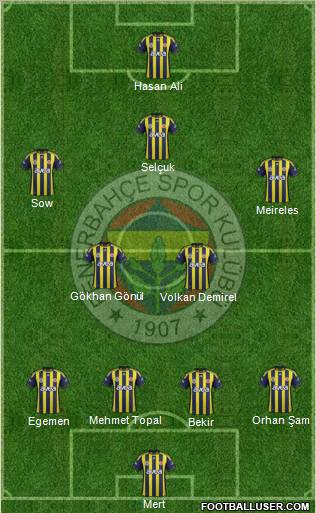Fenerbahçe SK Formation 2012
