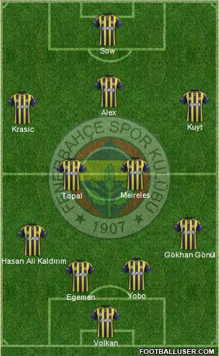 Fenerbahçe SK Formation 2012