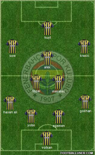 Fenerbahçe SK Formation 2012