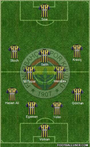 Fenerbahçe SK Formation 2012